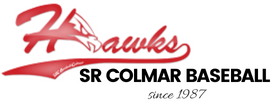 Logo-hawks-baseball-colmar